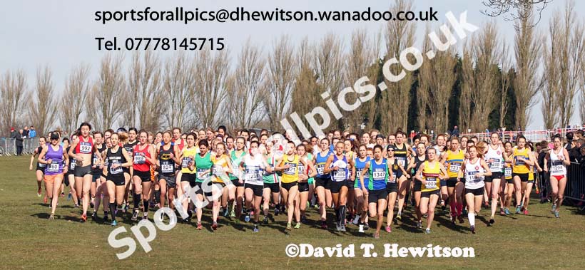 Start of the Senior Womens Inter Counties Championships,  Cofton Park, Birmingham. Photo: David T. Hewitson/Sports for All Pics